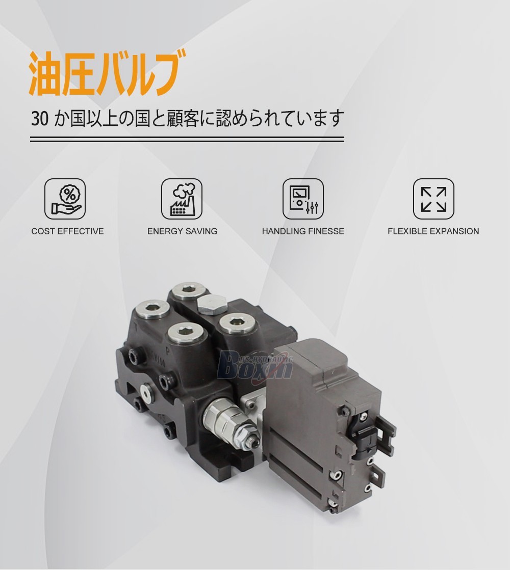 Durable DCV100EMA-OT 1 Spool Sectional Directional Valve with Integrated Electric Motor